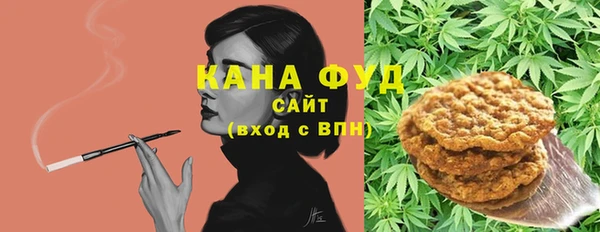 стаф Алзамай