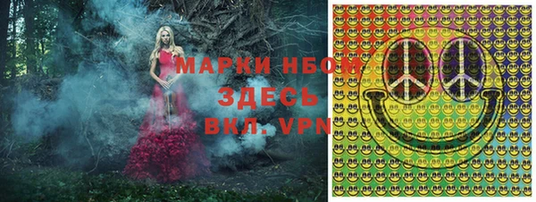 стаф Алзамай