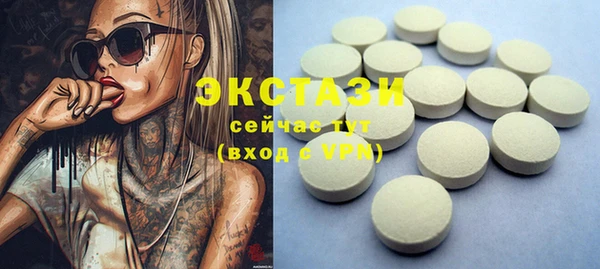 стаф Алзамай