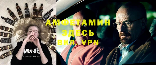 стаф Алзамай